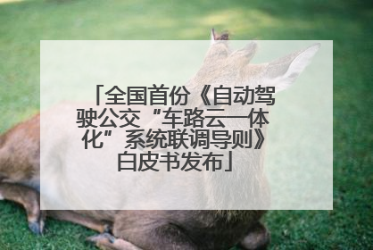 全国首份《自动驾驶公交“车路云一体化”系统联调导则》白皮书发布